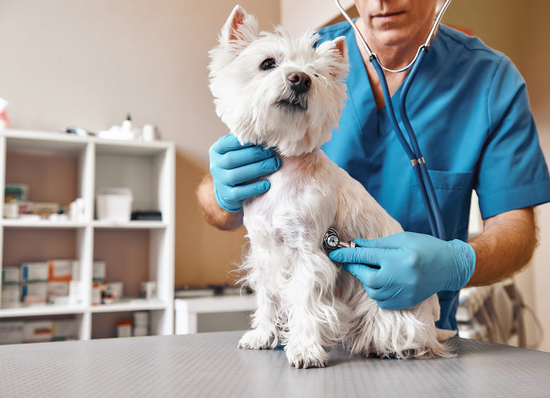 循環器科 心臓血管ケアセンタ-