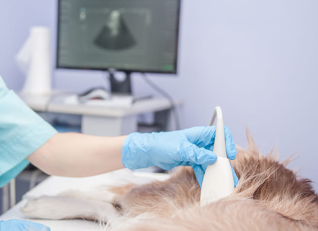 アクセス・予約